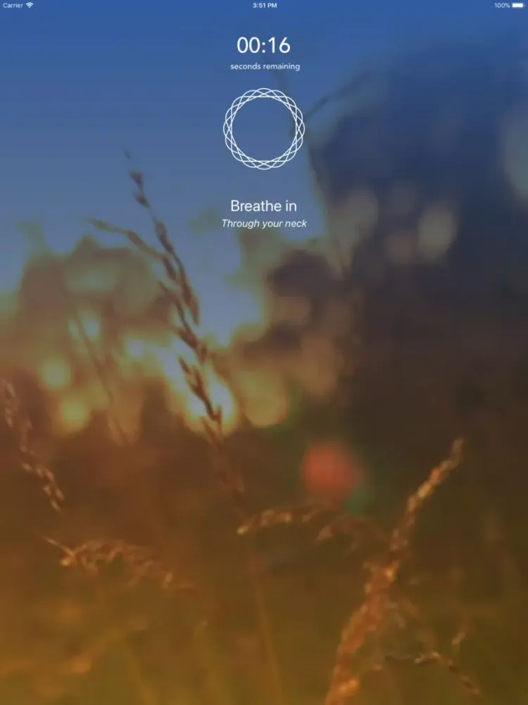 ภาพหน้าจอของ Mindfulness Daily iPad 