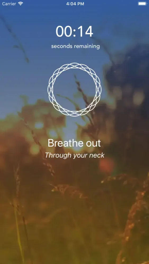 ภาพหน้าจอของ Mindfulness Daily