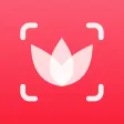 这是什么花-拍照识花