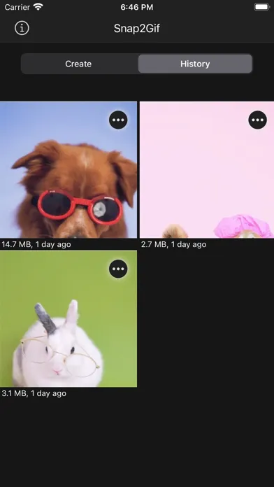 Snap2Gif应用截图