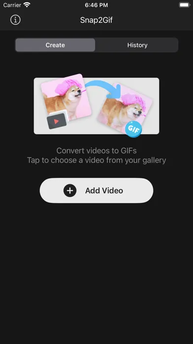 Snap2Gif应用截图
