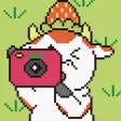 森のいちご