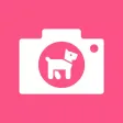 Bark Camera - For Dog Bark Camera - For Dog