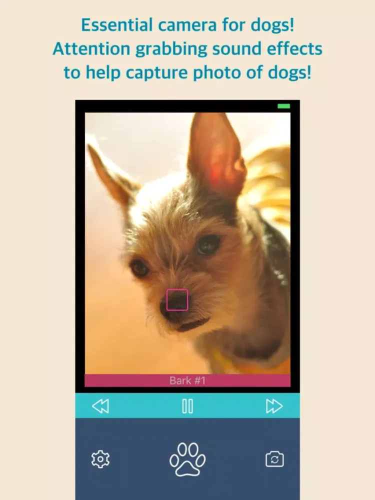 صور Bark Camera - For Dog iPad 