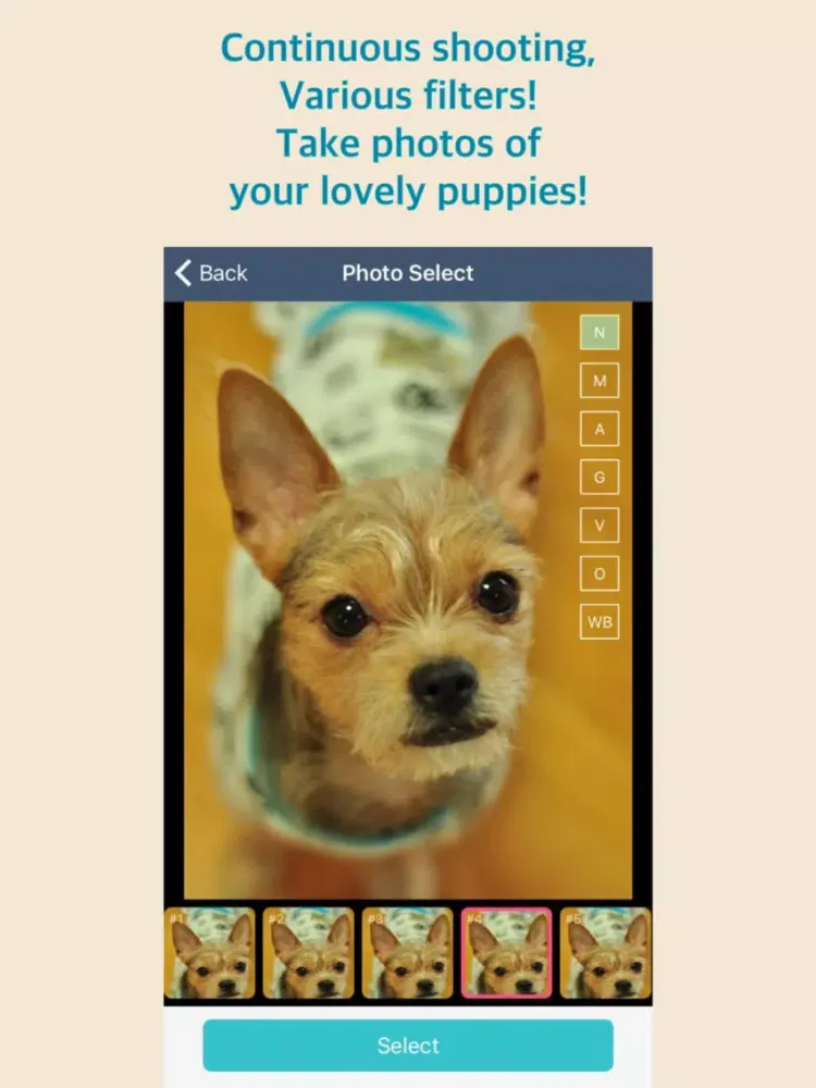 صور Bark Camera - For Dog iPad 