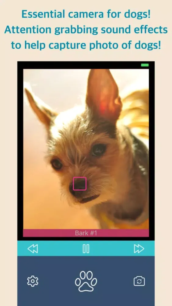 صور Bark Camera - For Dog