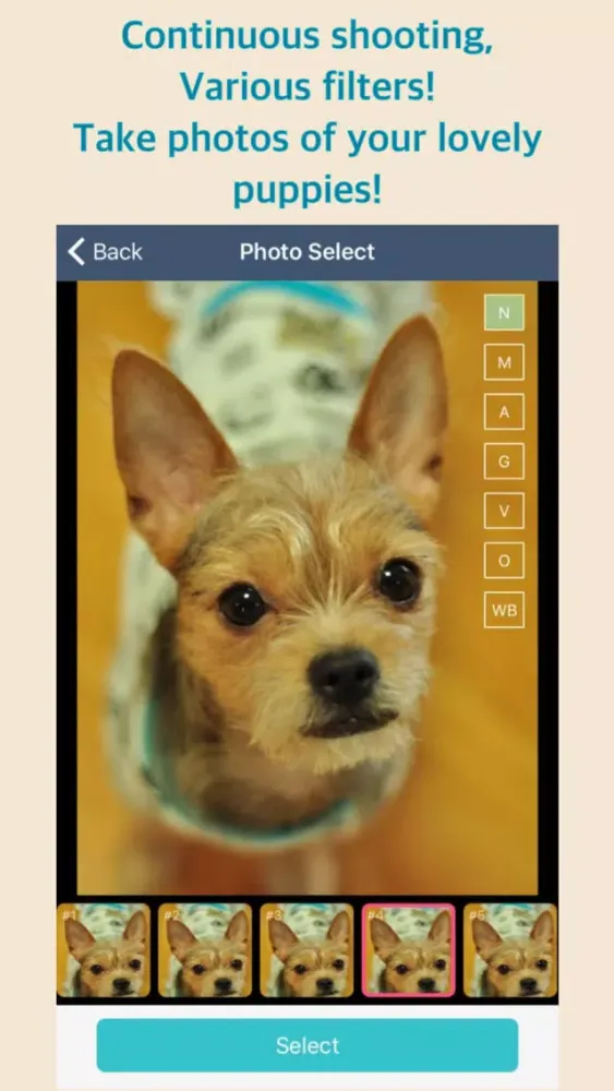 صور Bark Camera - For Dog