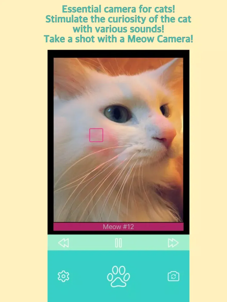Meow Camera - For Cat iPad  स्क्रीनशॉट