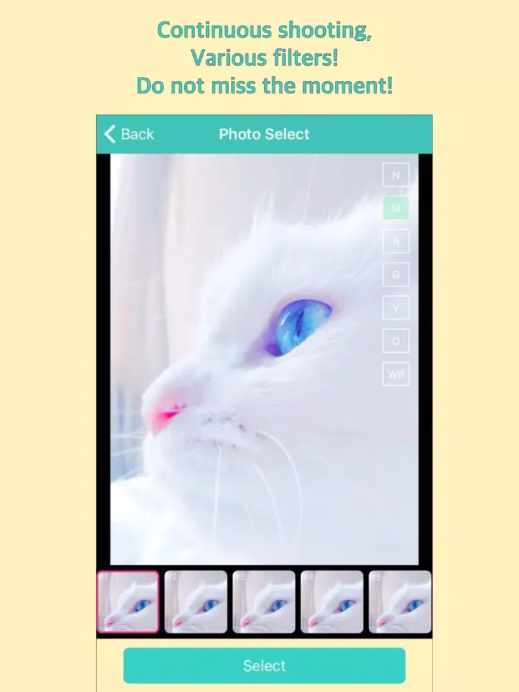 Meow Camera - For Cat iPad  स्क्रीनशॉट