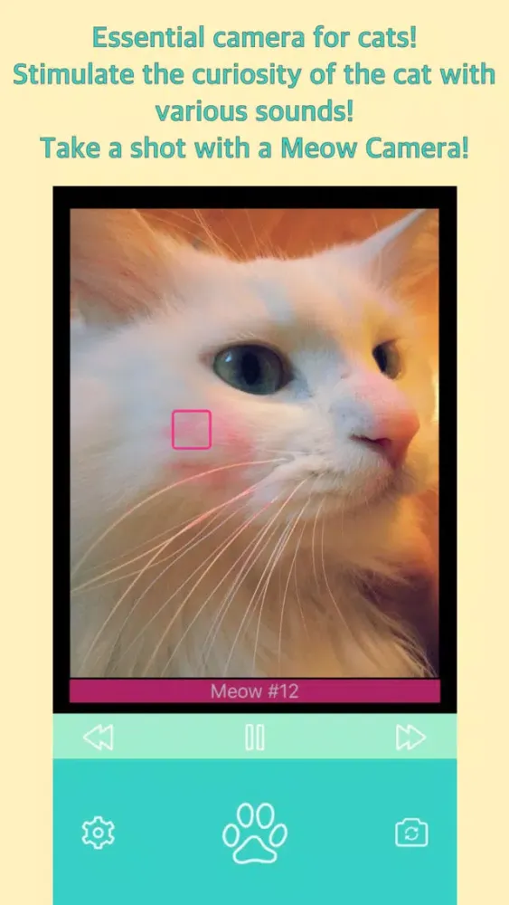 Meow Camera - For Cat स्क्रीनशॉट