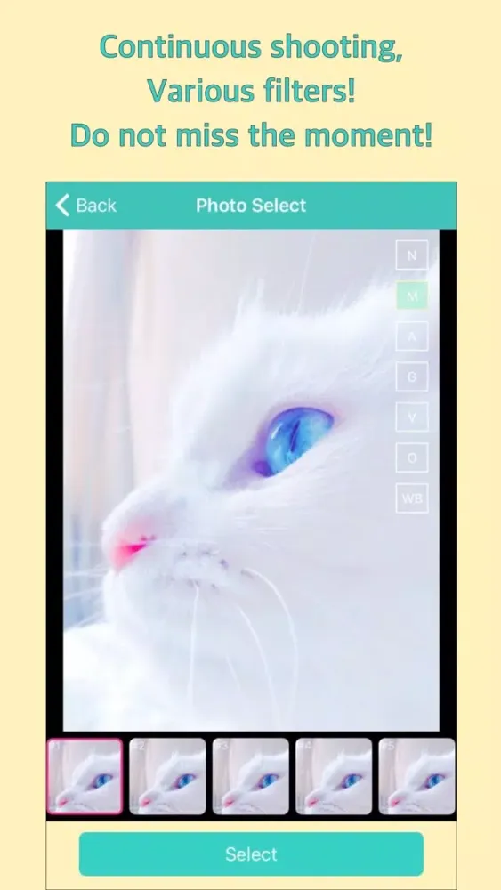Meow Camera - For Cat स्क्रीनशॉट