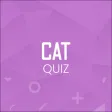 Certified Accounting Quiz