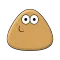 Pou