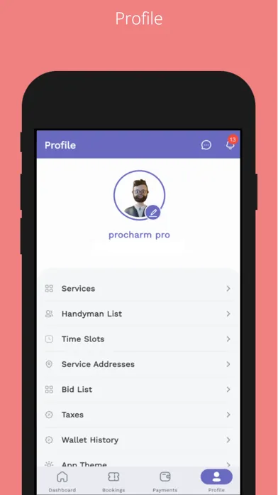 Tangkapan skrin ProCharm Pro