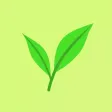 Sencha - Tea Timer for the Perfect Cup of Tea Sencha - Tea Timer for the Perfect Cup of Tea
