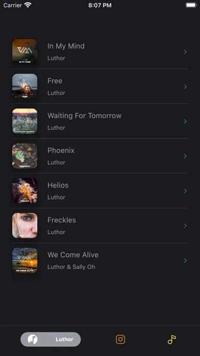 Skylex Music Screenshots
