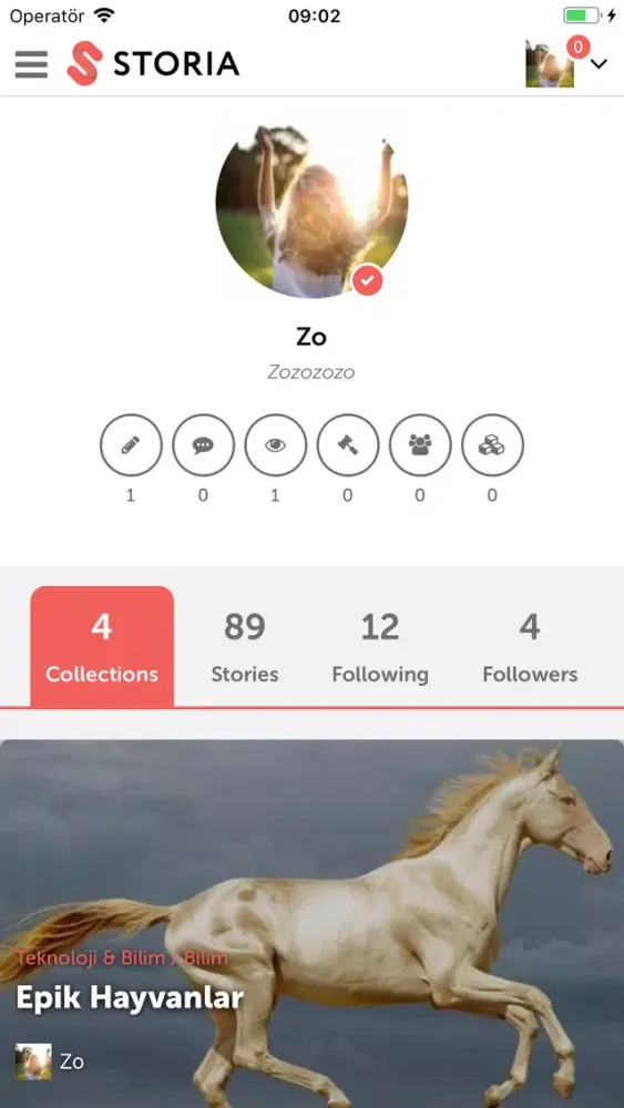 Zrzuty ekranu Storia — Tell Your Story