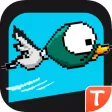 Snappy Hunt for Tango: A Duck’s Escape