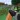 Gun Mod for Minecraft PE