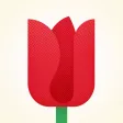Flowers: Your gift for Mother's Day