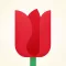 Flowers: Your gift for Mother's Day