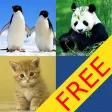 Funny animal match and knowledge FREE