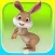 Rabbit Rush 3D - Cool Running Games