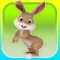 Rabbit Rush 3D - Cool Running Games