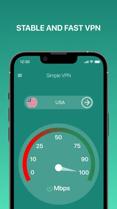 Simple VPN Pro - Fast VPN应用截图