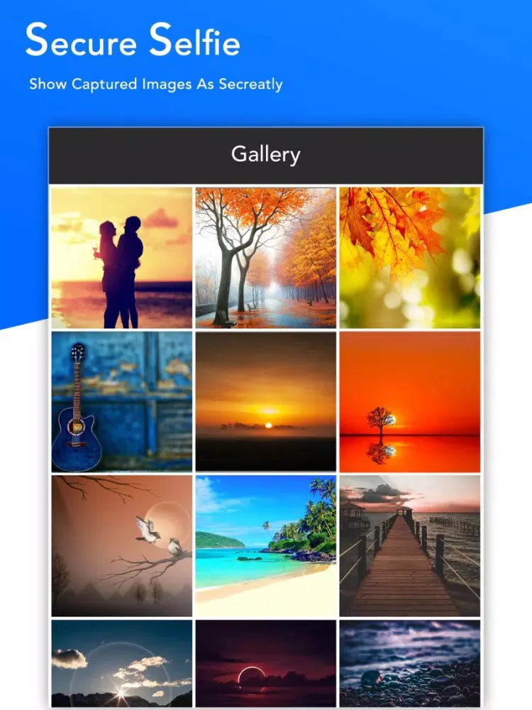 تصاویر Vault - Private Photo Gallery iPad 