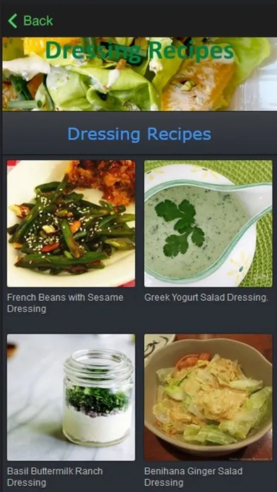Dressing Recipe Screenshots