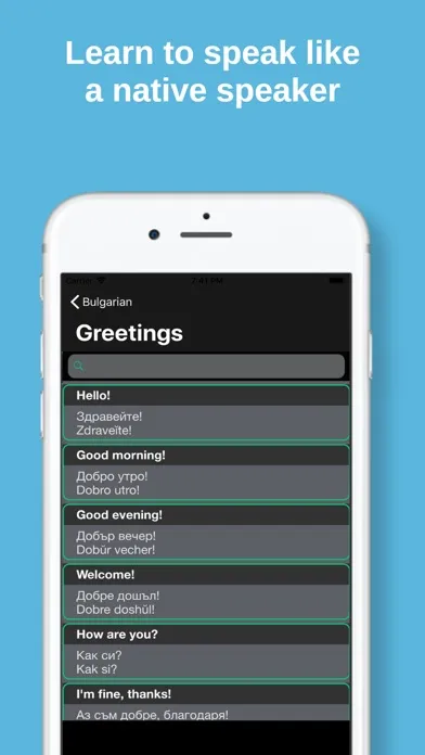 Zrzuty ekranu MTL Learn Languages: Beginner