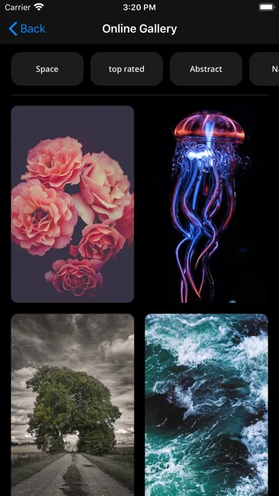 N Wallpaper স্ক্রিনশট