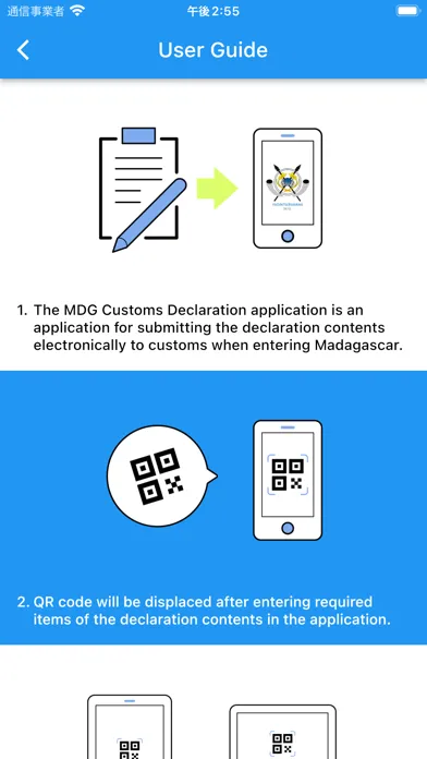 MDG Customs Declaration App. Screenshots