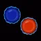 Bubbling Escape