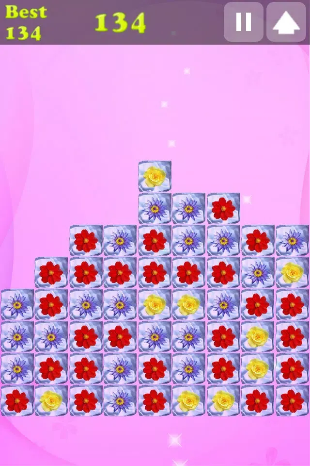 Скриншоты Icy Flower