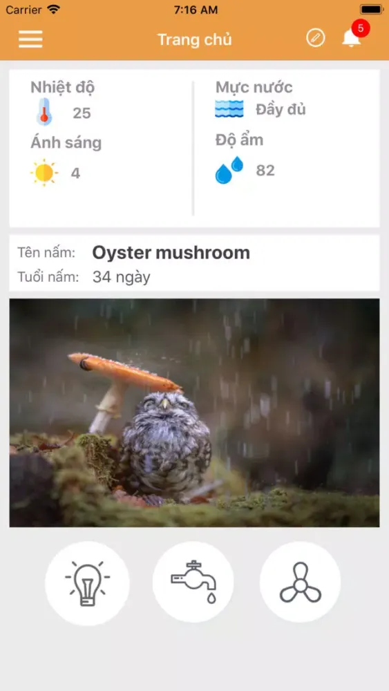 Smart Mush Ekran Görüntüleri