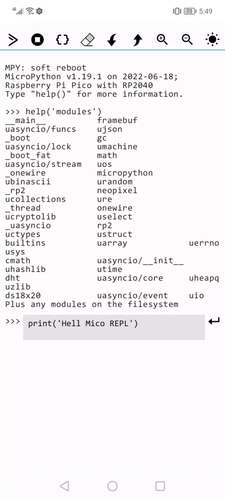 Micro REPL Screenshots