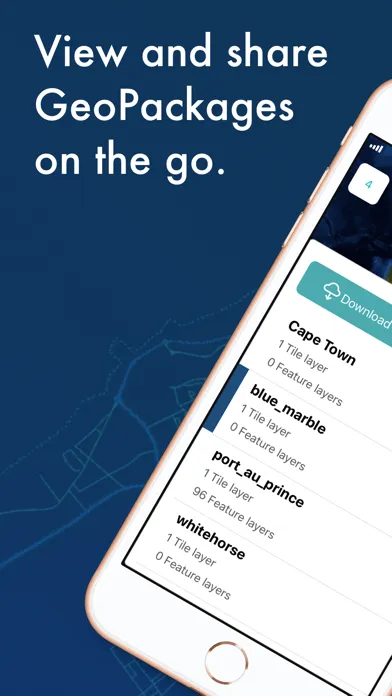 Screenshot di MapCache by NGA
