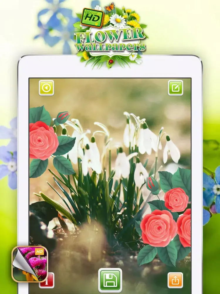 Скриншоты HD Flower Wallpaper.s – Beautiful Floral Themes and Custom Lock Sreen Background.s iPad 
