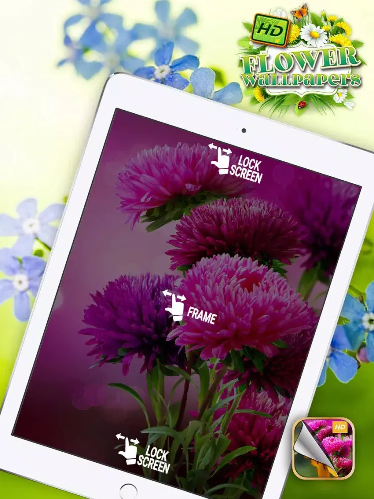 Скриншоты HD Flower Wallpaper.s – Beautiful Floral Themes and Custom Lock Sreen Background.s iPad 