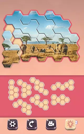 Screenshot di Animals Jigsaw! - Hexa puzzle