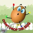 Don't drop the egg Lite Don't drop the egg Lite