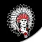 Stebbins Athletics