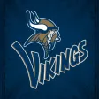 Spartanburg Vikings Athletics