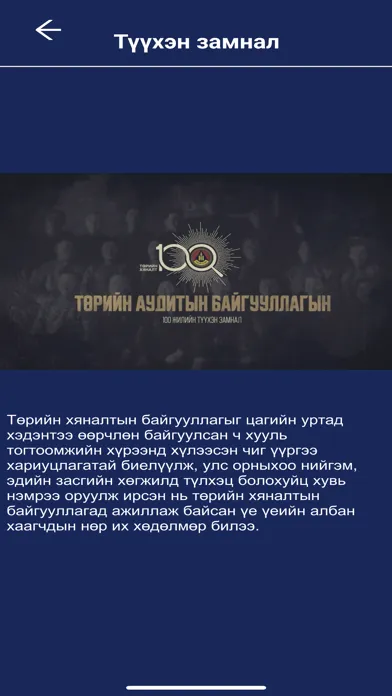 Төрийн аудит スクリーンショット