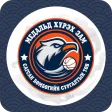 Basketball surgalt