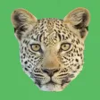 Travel Africa @ Roho Ya Chui