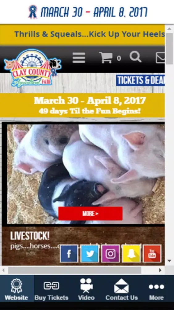Screenshot di Clay County Fair
