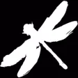 DRAGONFLY GYPSY